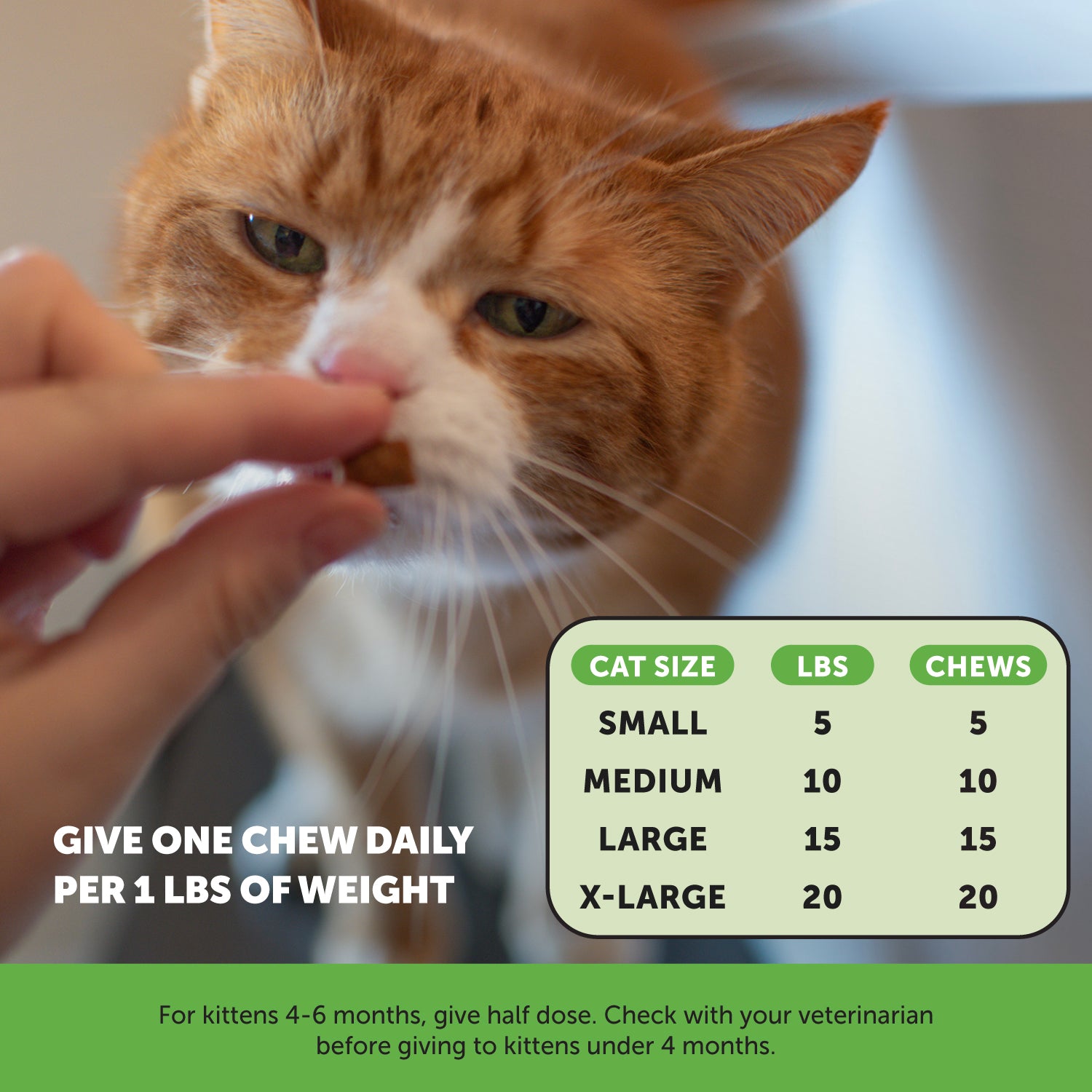 2024_Listingimages_CatHairball_Instructions.jpg