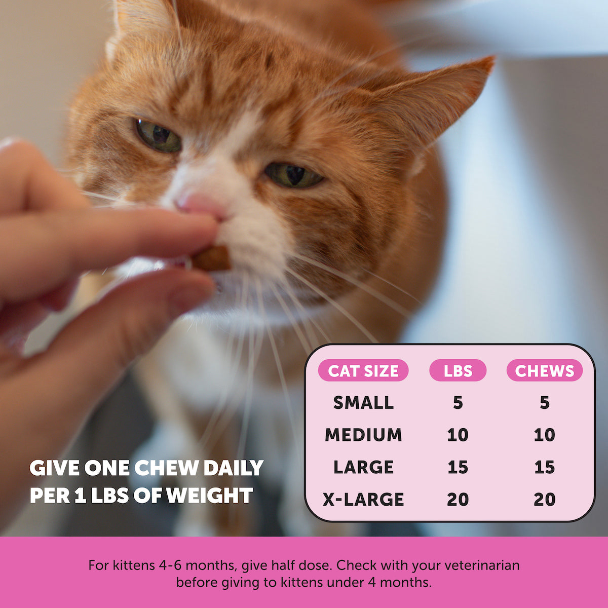 2024_Listingimages_CatMultivitamin_Instructions_1e4ca417-74e4-4de9-a81d-b5345d1a3de4.jpg