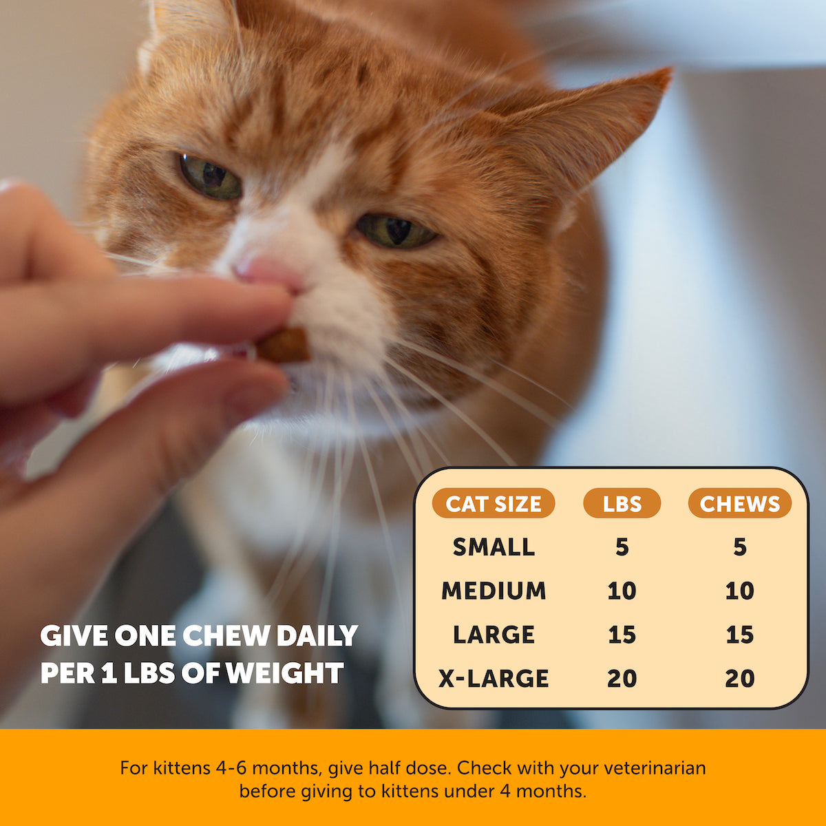 2024_Listingimages_CatimmuneSupportLysine_Instructions.jpg