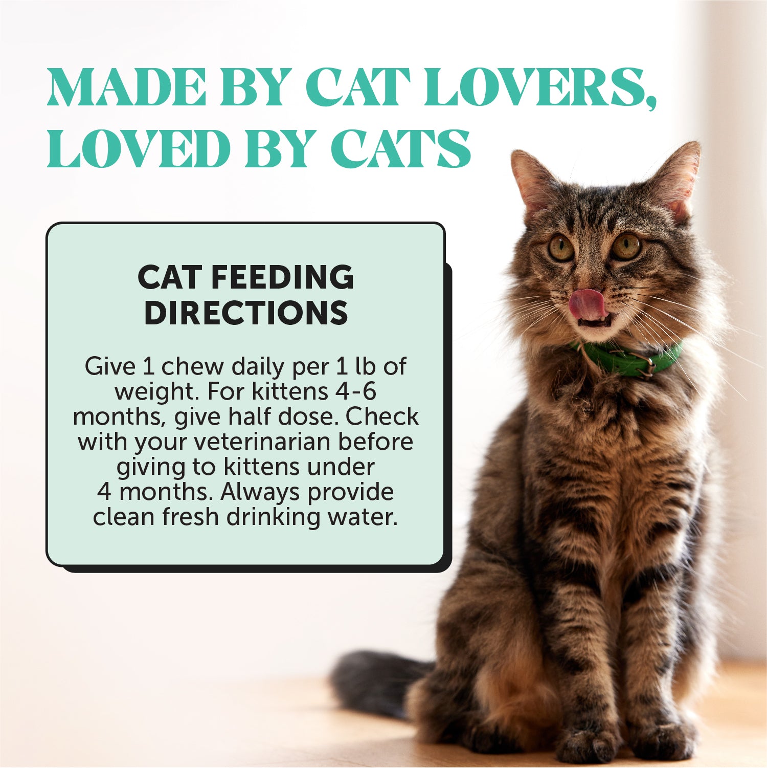 2025_Listing_Images_Cat_Fresh_Breath_Dental_Bites_Instructions_1.jpg