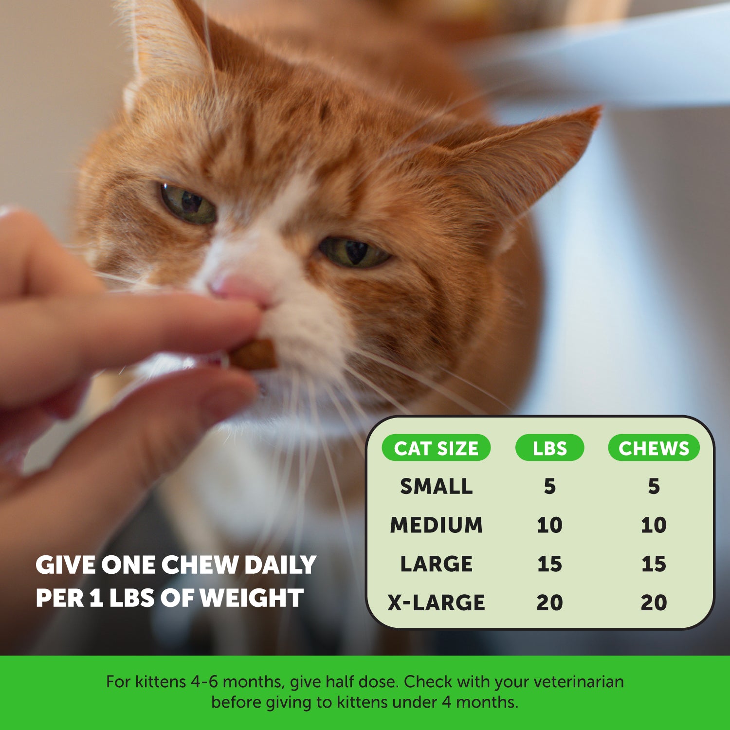 2025_Listingimages_CatUrinary_Instructions.jpg