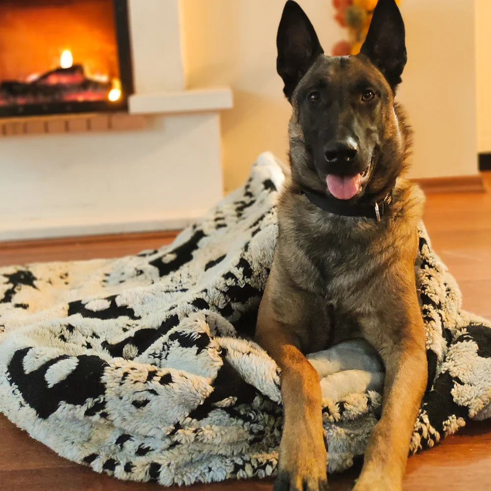cozy-cave-dog-bed_2_88a51ec8-f816-4926-b9ba-35c818148279.jpg