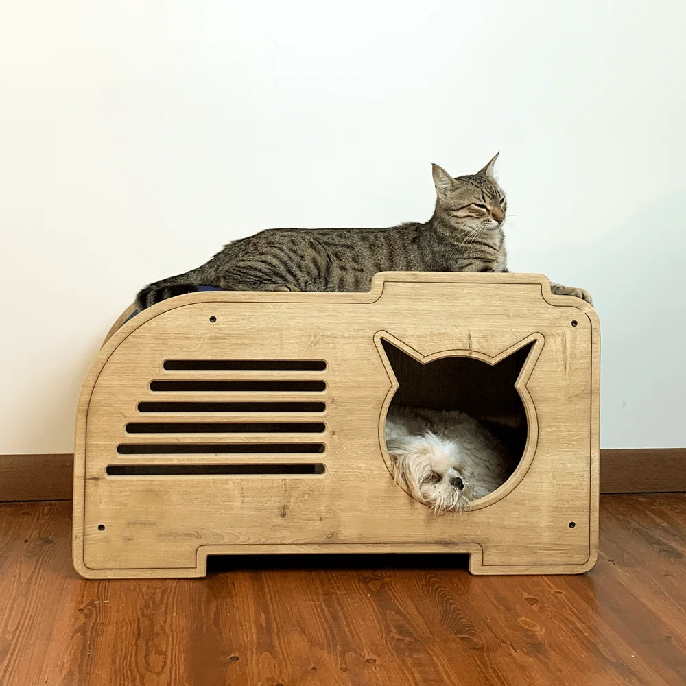 lucky-modern-cat-house-with-scratching-carpet-4.jpg