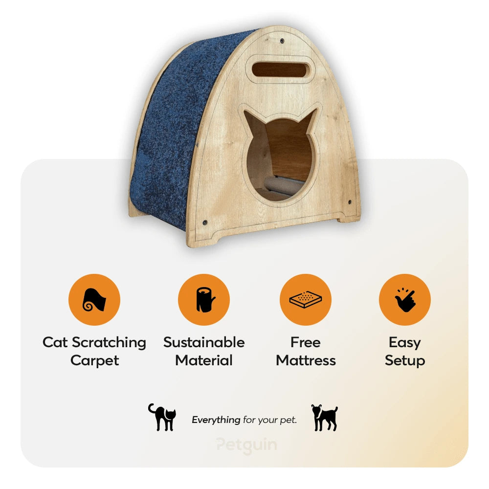 oliver-cat-teepee_2.jpg
